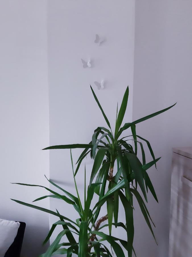 Mariel Holiday Home Levico Terme Zewnętrze zdjęcie